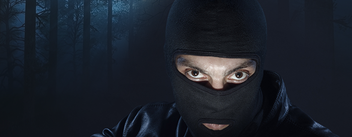 thief steal security robber